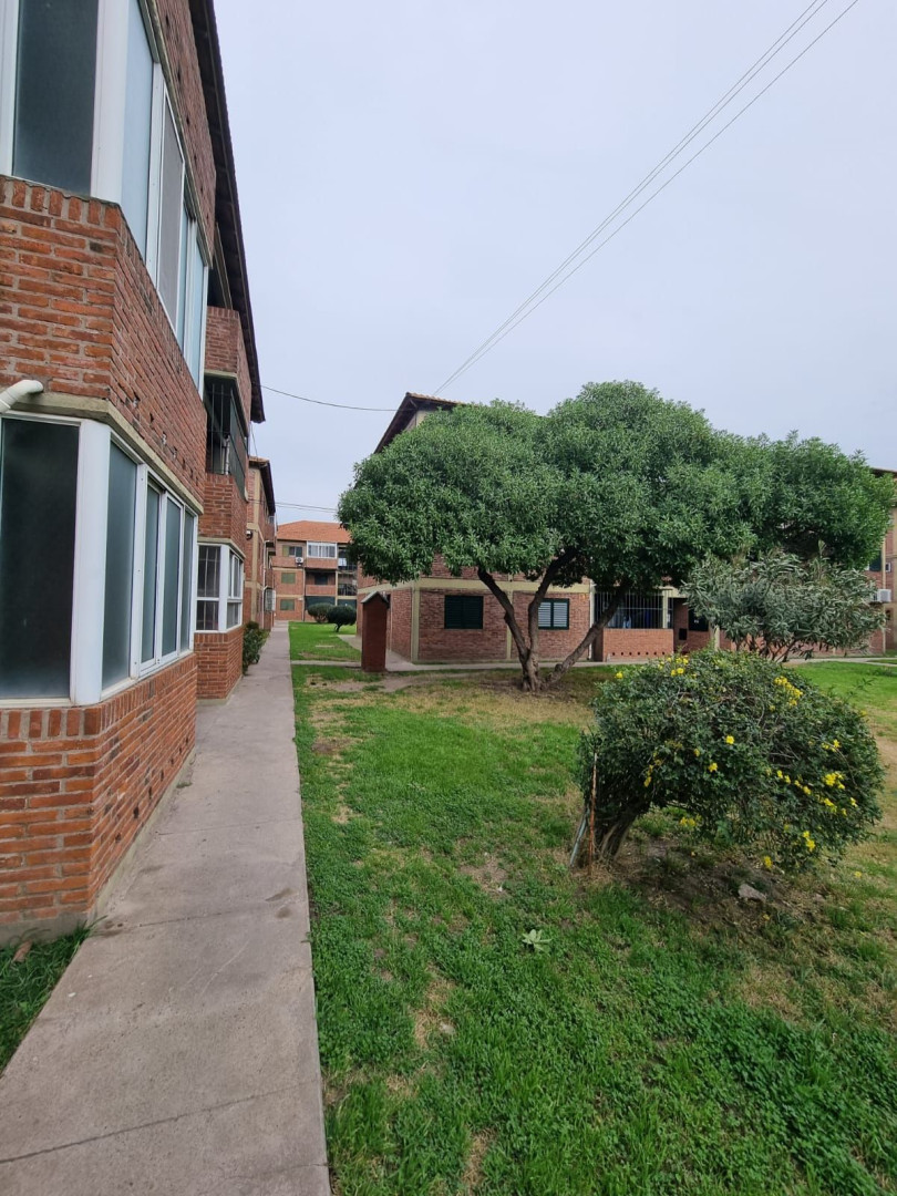 Departamento en Alquiler en Brickman 1451, UPCN, Bahía Blanca - Bahía Blanca Propiedades | SITIO OFICIAL l