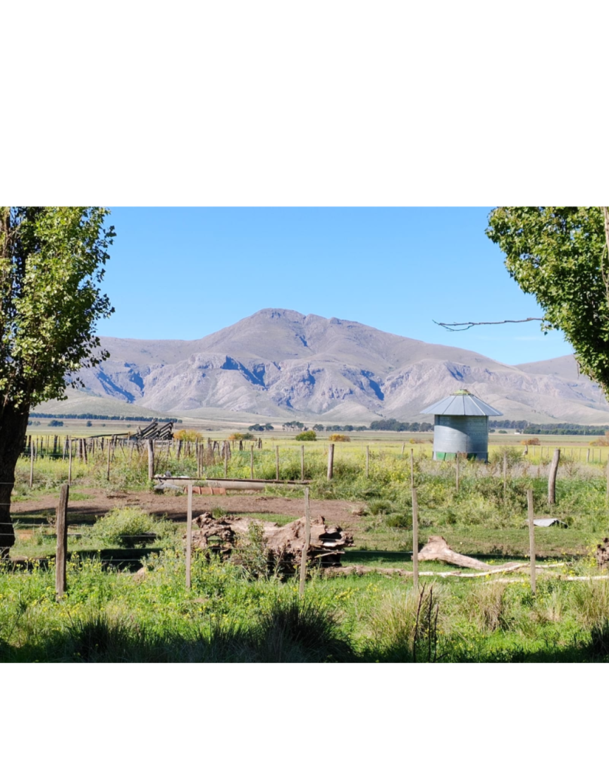 Campo  en Venta - Bahía Blanca Propiedades | SITIO OFICIAL l