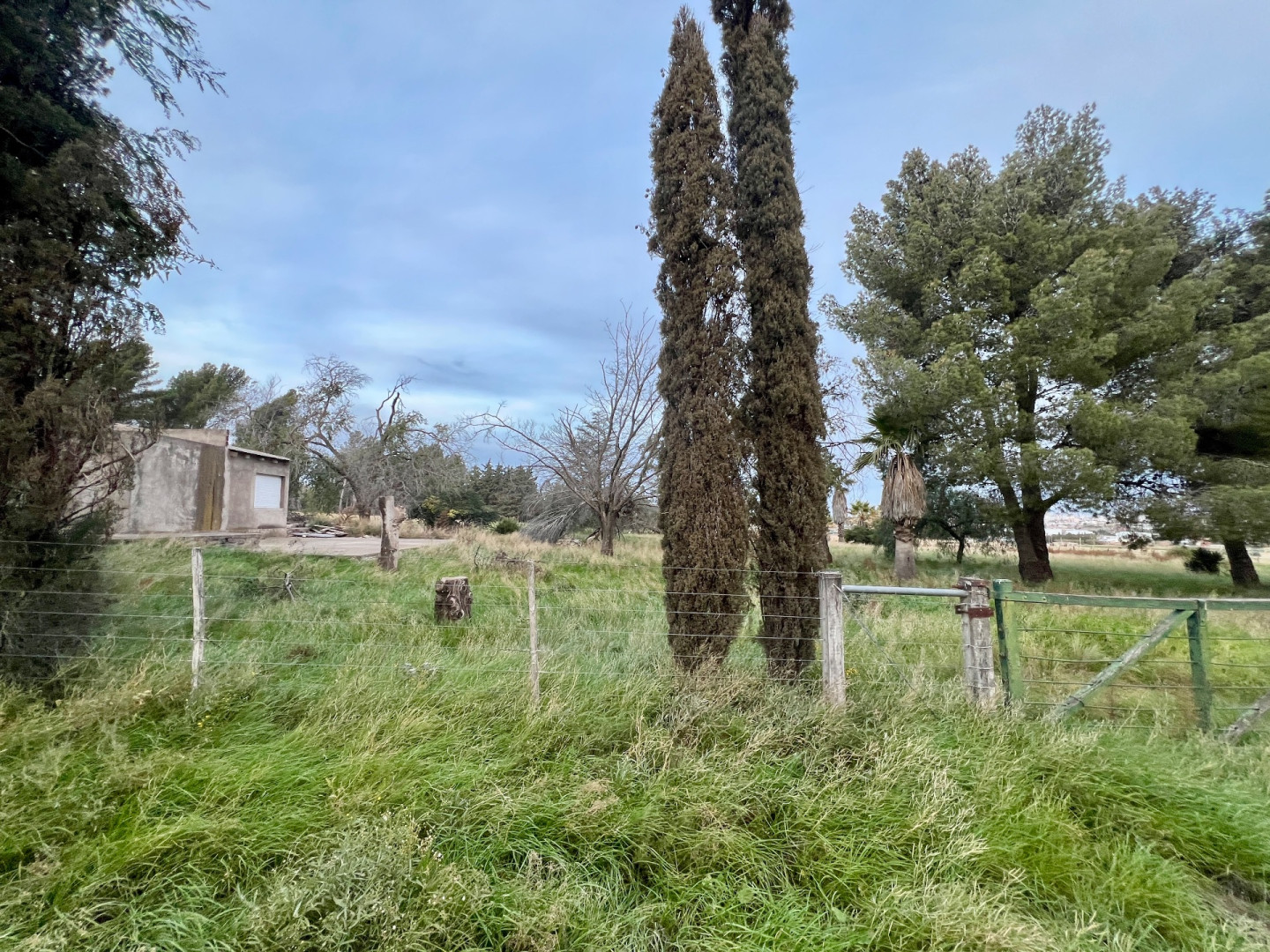 Terreno en Venta en Esteban Rigamonti 1895, Villa Belgrano, Bahía Blanca - Bahía Blanca Propiedades | SITIO OFICIAL l