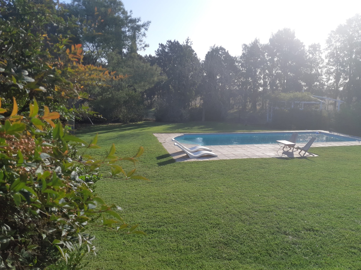 Casa en Venta en Pago Chico, Pago Chico, Punta Alta - Bahía Blanca Propiedades | SITIO OFICIAL l