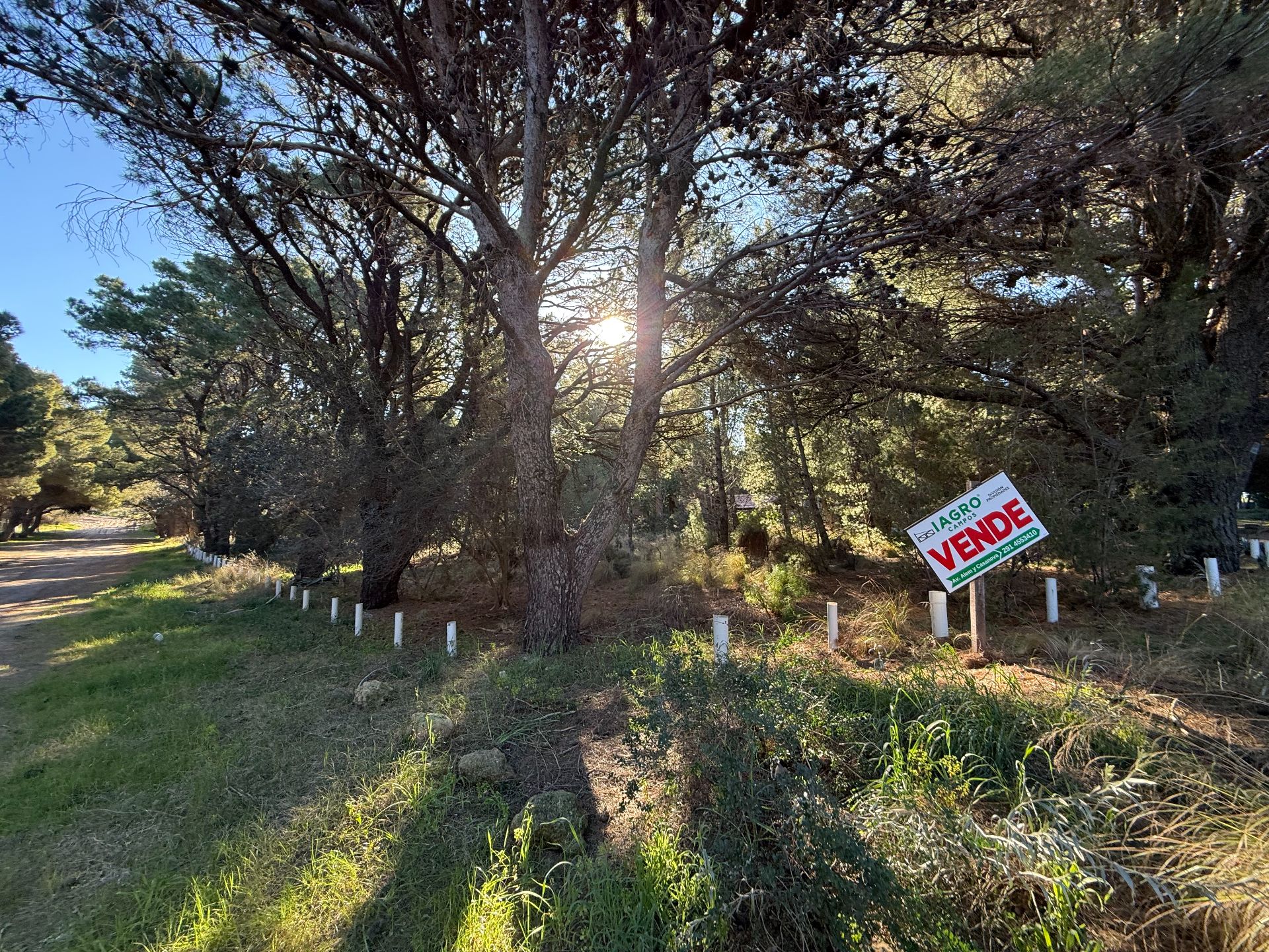 Terreno en Venta en Calle 8  Y Calle 1,  Pehuen Co - Bahía Blanca Propiedades | SITIO OFICIAL l
