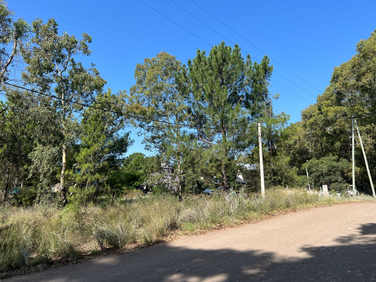 Terreno en Venta en Calle 8,  Pehuen Co - Bahía Blanca Propiedades | SITIO OFICIAL l