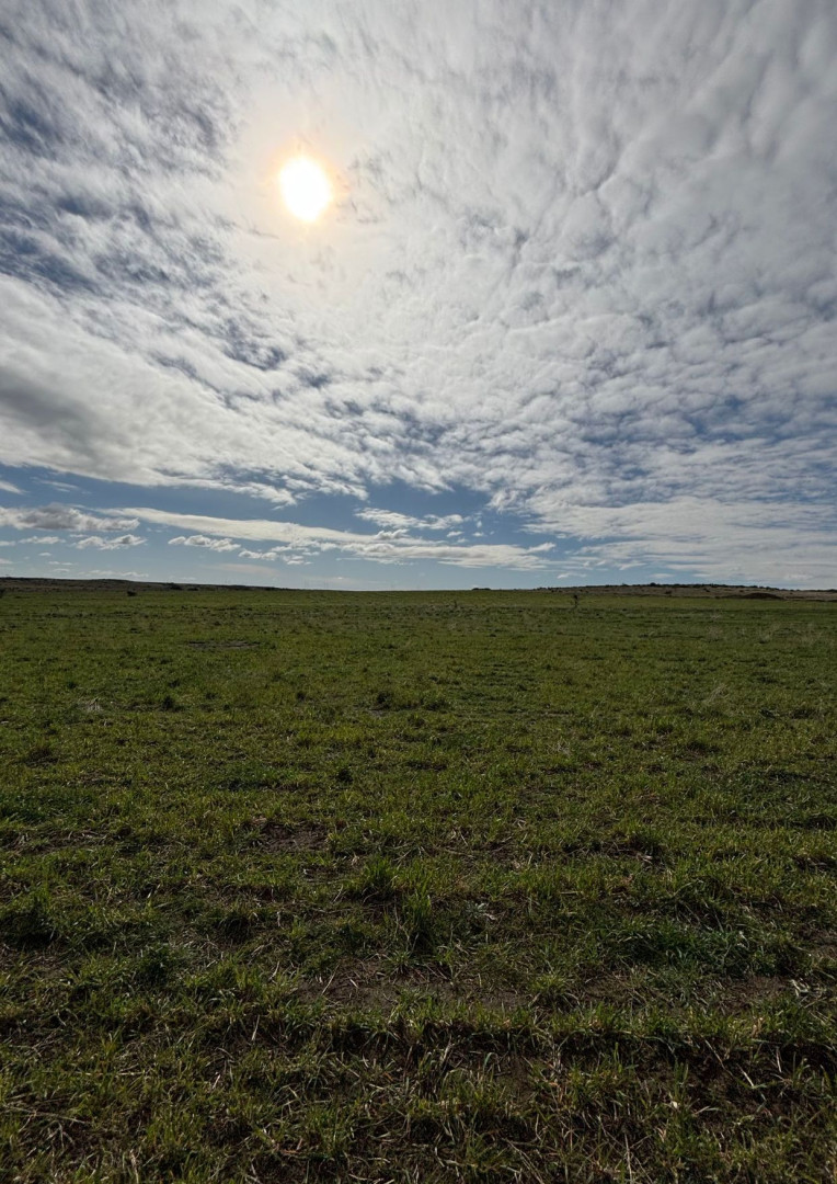 Campo  en Alquiler   Bahía Blanca - Bahía Blanca Propiedades | SITIO OFICIAL l