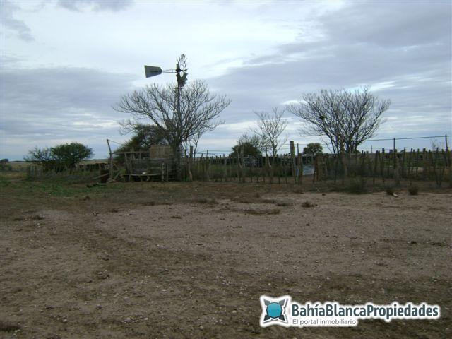 Campo  en Venta en ALGARROBO,  Villarino - Bahía Blanca Propiedades | SITIO OFICIAL l