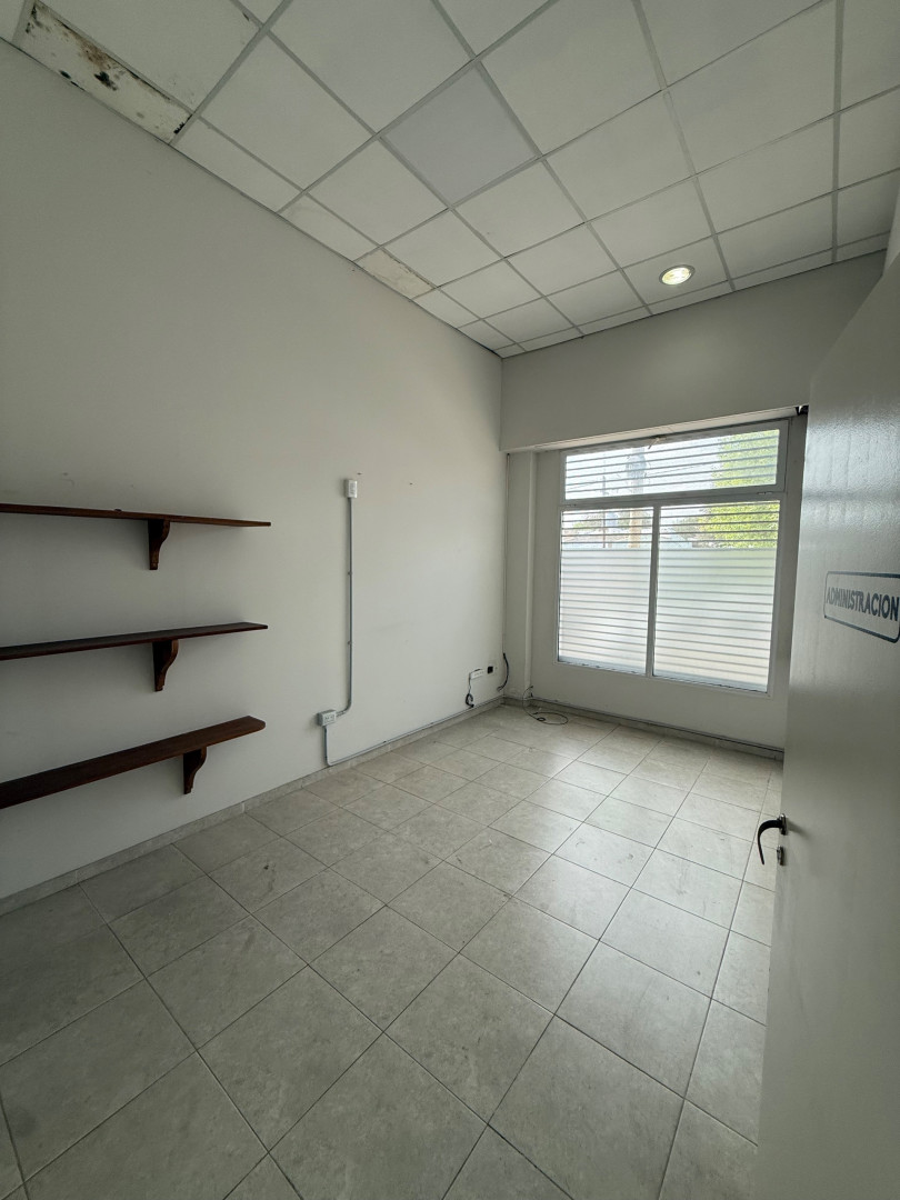 Local en Alquiler en Manuel Molina 871,  Bahía Blanca - Bahía Blanca Propiedades | SITIO OFICIAL l