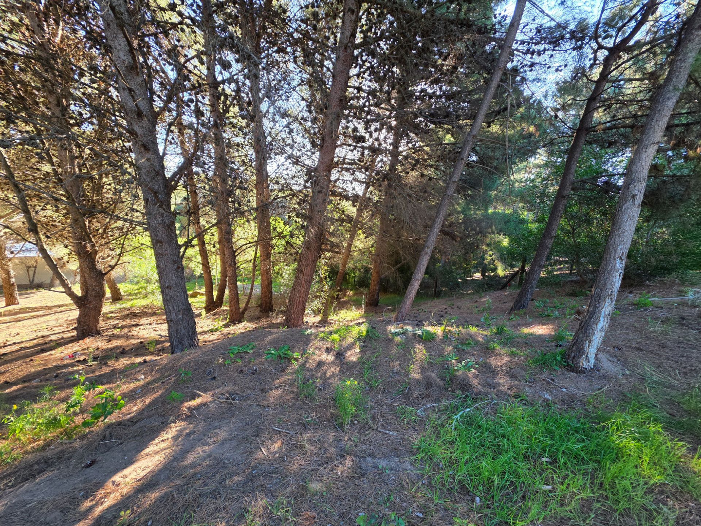 Terreno en Venta en Las Cotorras, Monte del Este, Monte Hermoso - Bahía Blanca Propiedades | SITIO OFICIAL l