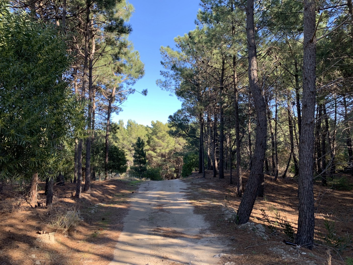 Terreno en Venta en Pinar Del Golf,  Monte Hermoso - Bahía Blanca Propiedades | SITIO OFICIAL l