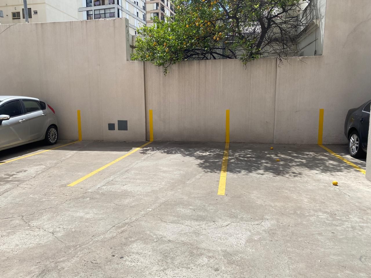Departamento en Alquiler en Casanova 82, Centro, Bahía Blanca - Bahía Blanca Propiedades | SITIO OFICIAL l
