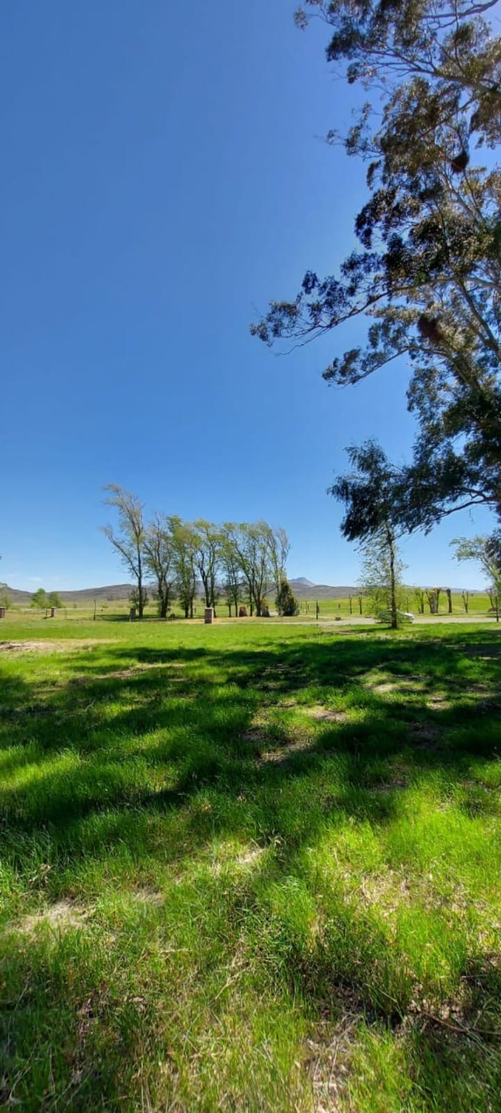 Terreno en Venta en Lote 40, Las Verbenas , Sierra de  la Ventana - Bahía Blanca Propiedades | SITIO OFICIAL l