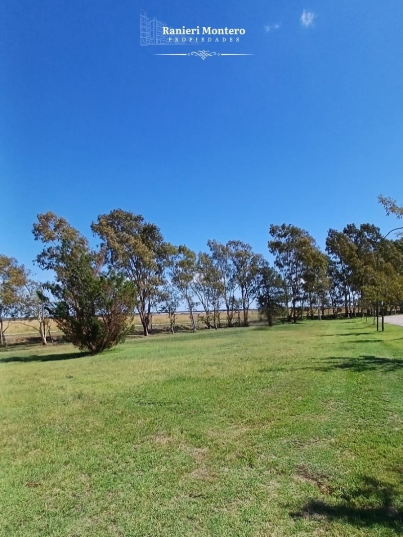 Terreno en Venta  Pago Chico, Bahía Blanca - Bahía Blanca Propiedades | SITIO OFICIAL l