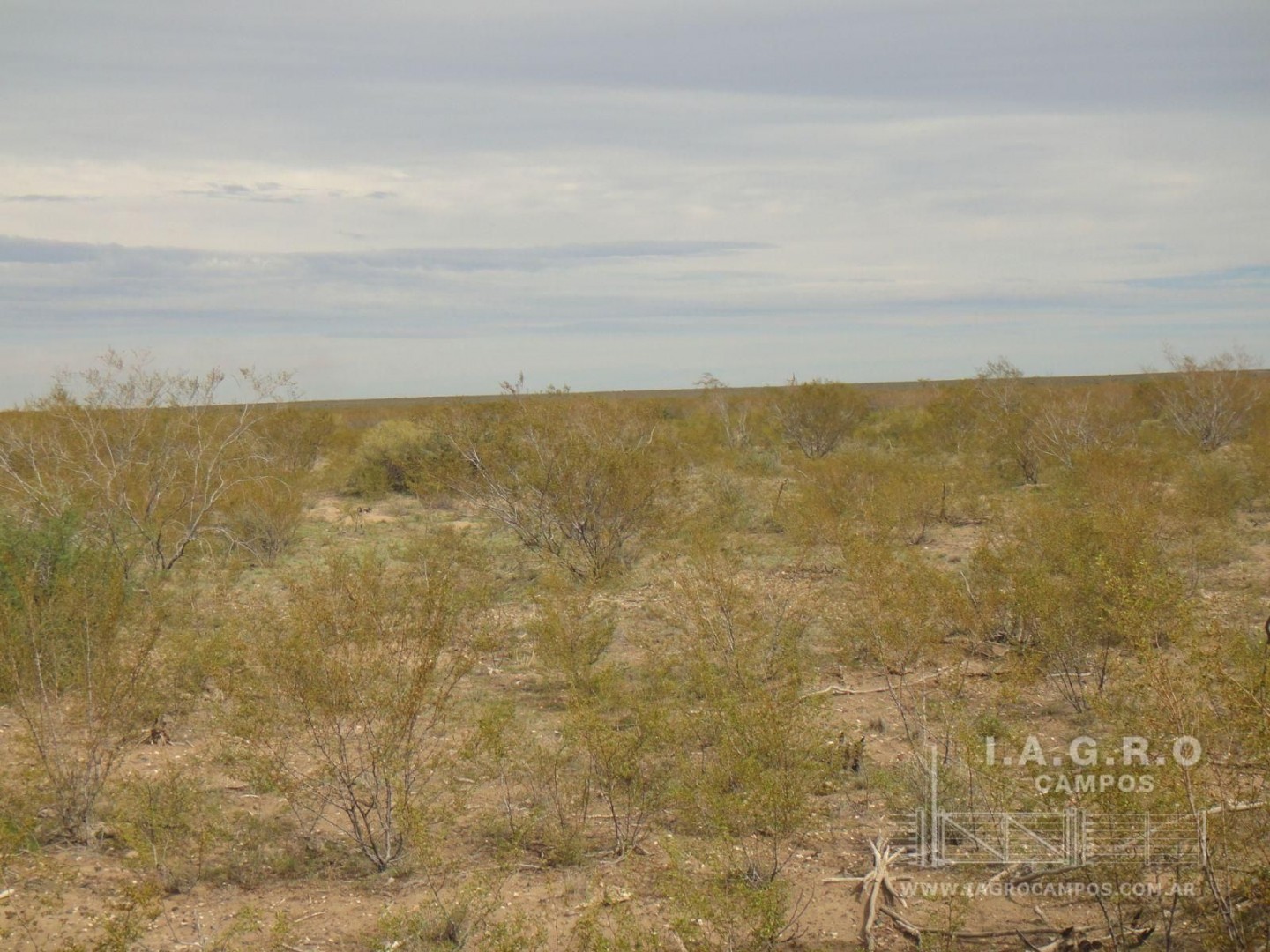 Campo  en Venta en Curaco,  Curaco - La Pampa - Bahía Blanca Propiedades | SITIO OFICIAL l