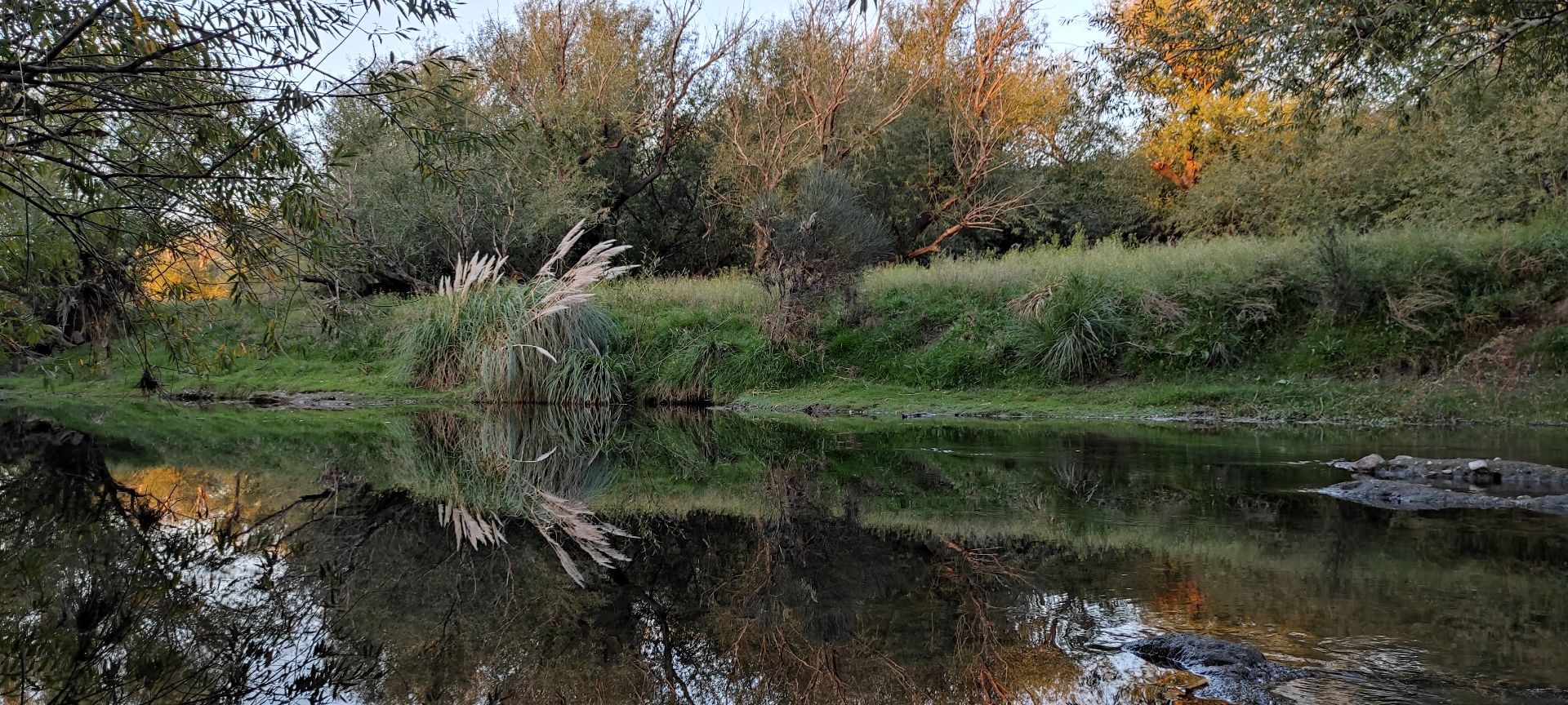 Campo  en Venta   Tornquist - Bahía Blanca Propiedades | SITIO OFICIAL l