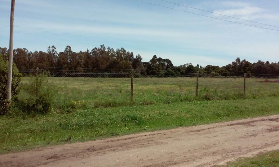 Campo  en Venta en Ciudad De Miramar,  Miramar - Bahía Blanca Propiedades | SITIO OFICIAL l