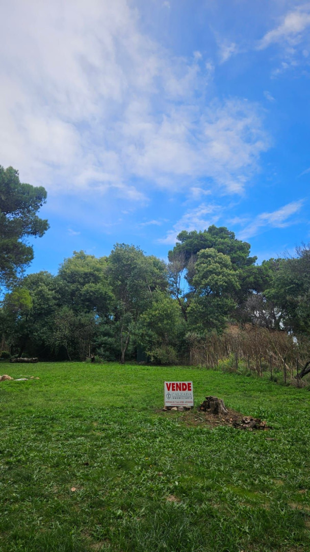 Terreno en Venta en Calle De Las Piedras Y Piquito,  Villa Ventana - Bahía Blanca Propiedades | SITIO OFICIAL l