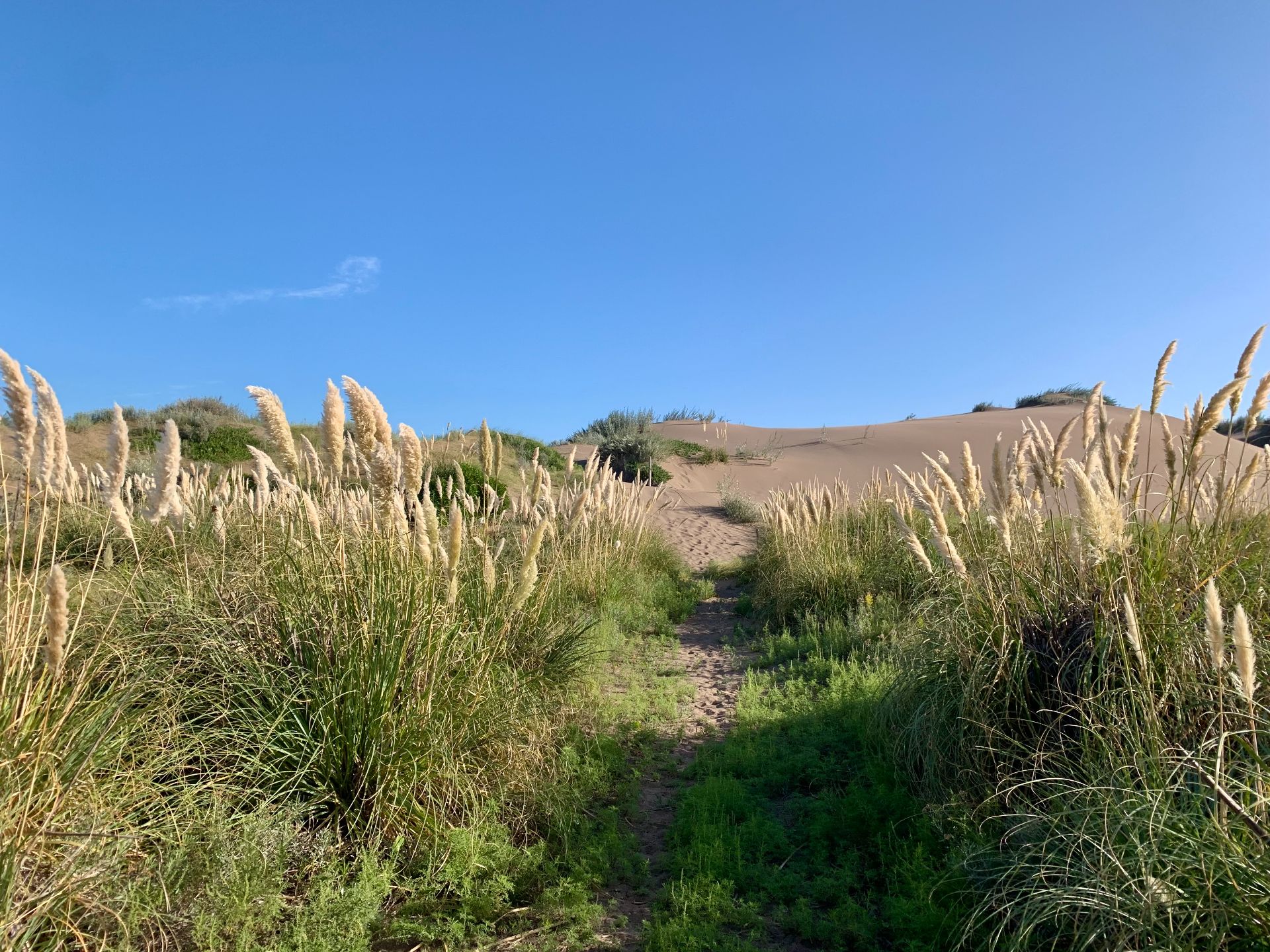 Terreno en Venta en San Bernardo Y Las Toninas, El Sauce, Monte Hermoso - Bahía Blanca Propiedades | SITIO OFICIAL l