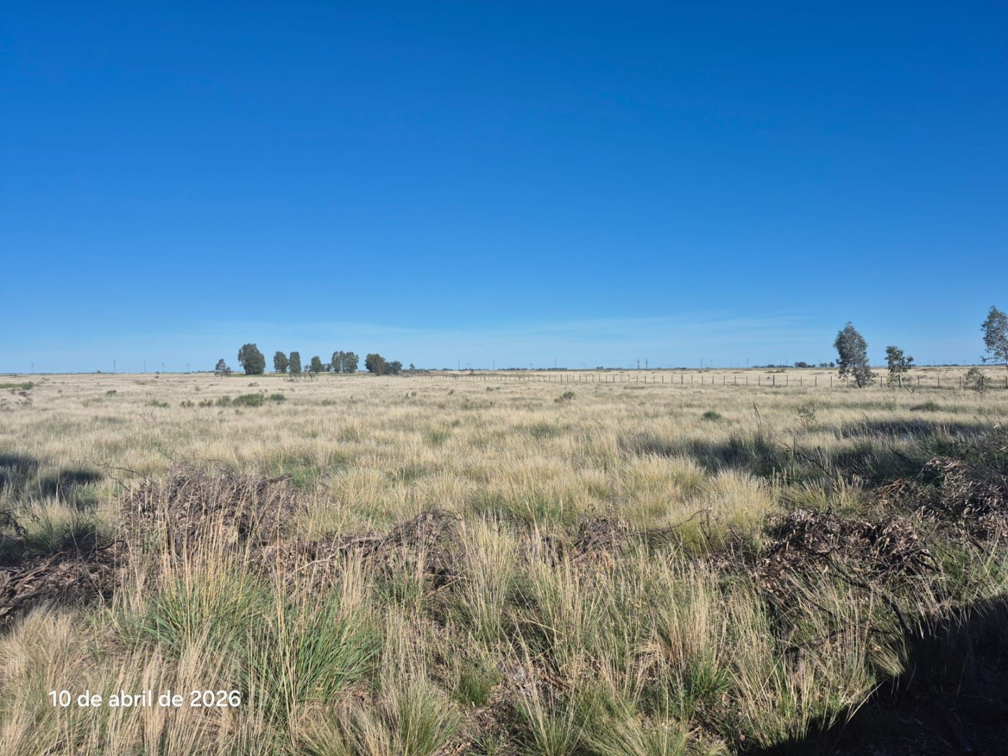 Campo  en Venta en Ruta 51 Km 722,  Bahía Blanca - Bahía Blanca Propiedades | SITIO OFICIAL l