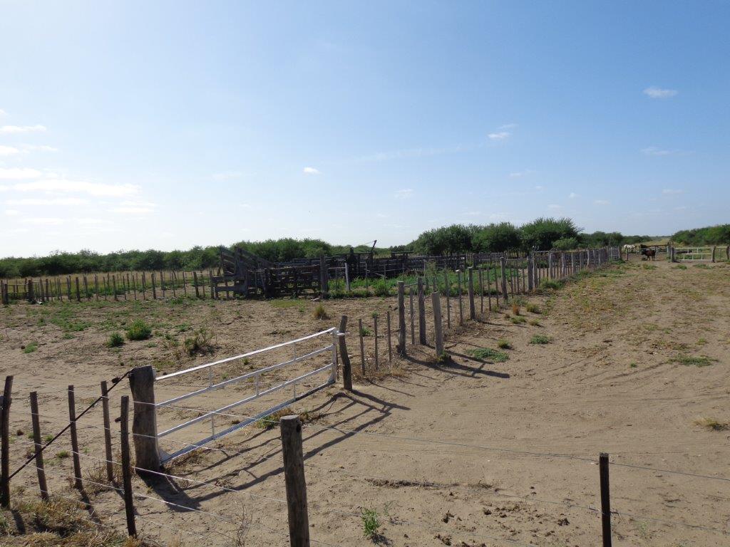Campo  en Venta en Algarrobo Buenos Aires,  Algarrobo - Bahía Blanca Propiedades | SITIO OFICIAL l