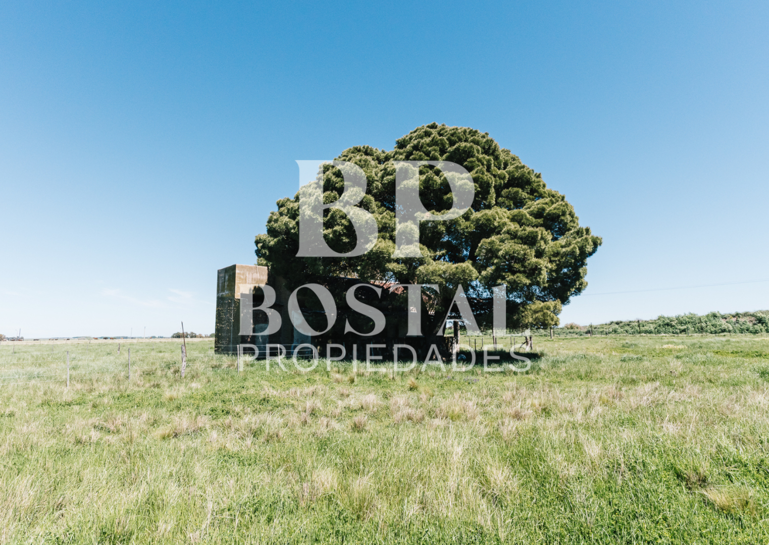 Campo  en Venta en MALVINAS Y TIERRA DEL FUEGO, SAAVEDRA,  Saavedra - Bahía Blanca Propiedades | SITIO OFICIAL l