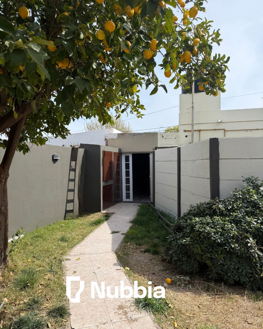 PH en Alquiler en Rosales 1359, Villa Mitre, Bahía Blanca - Bahía Blanca Propiedades | SITIO OFICIAL l
