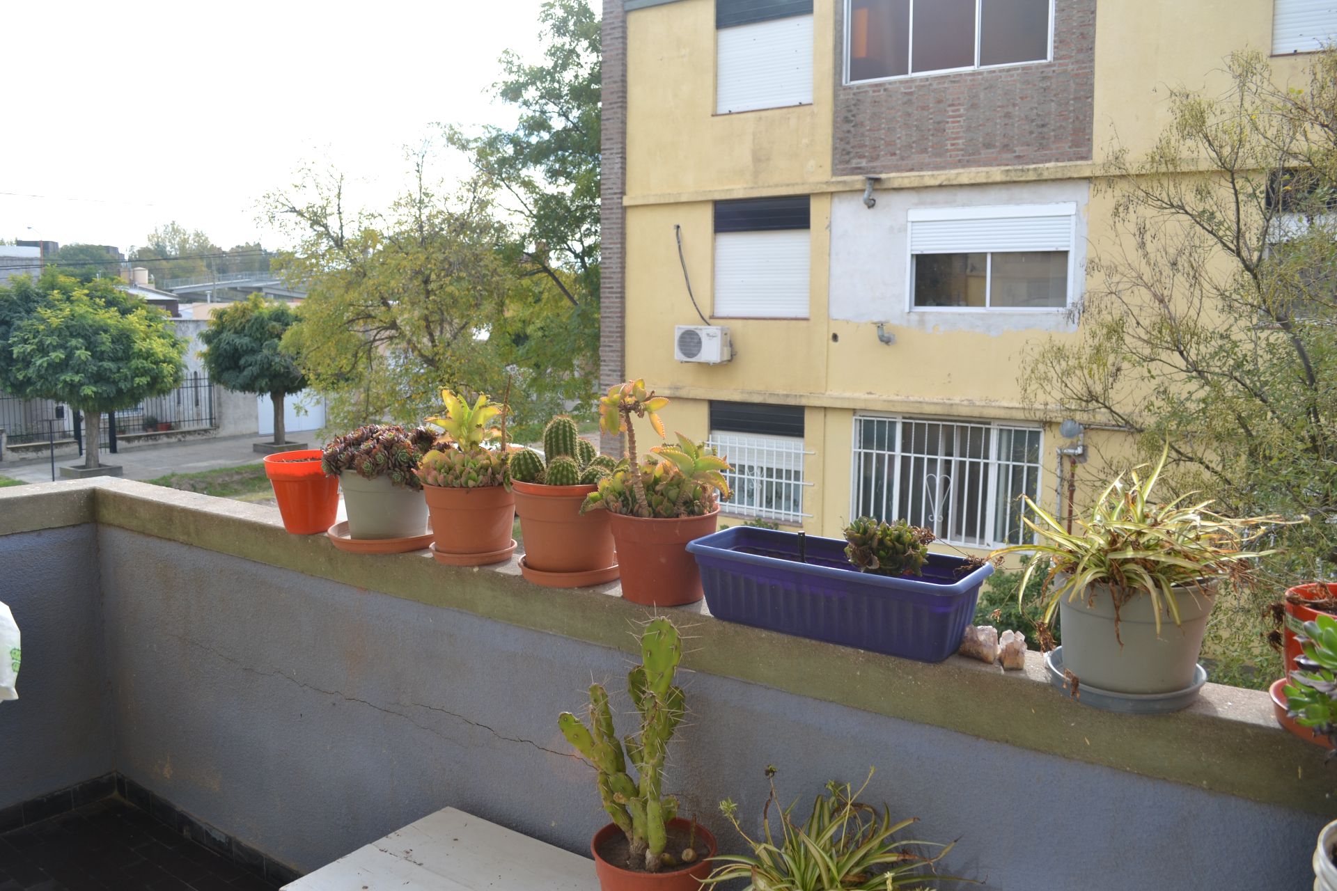 Departamento en Venta en Araucano 815, Rosendo Lopez, Bahía Blanca - Bahía Blanca Propiedades | SITIO OFICIAL l