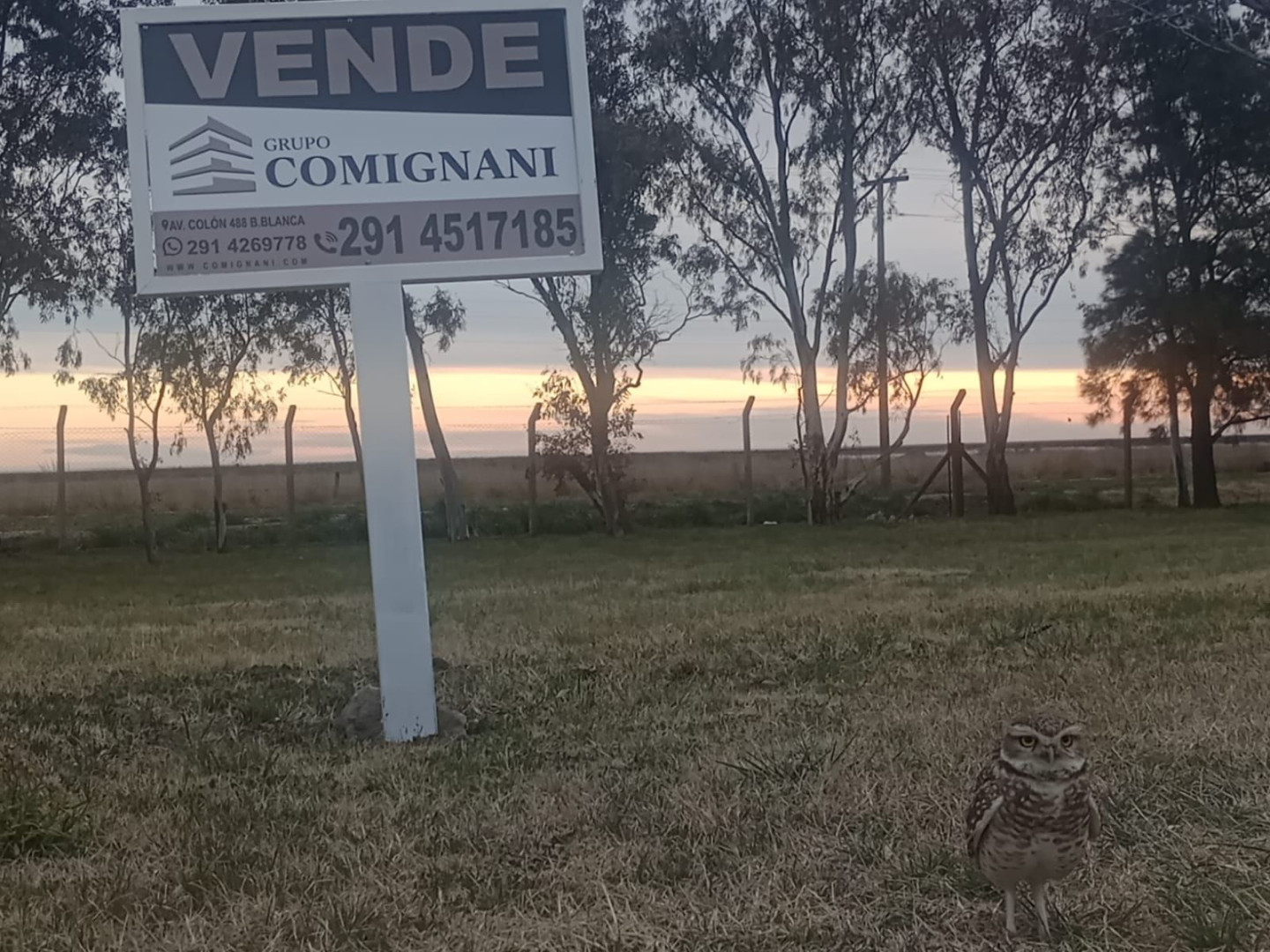 Terreno en Venta en Barrio Privado Pago Chico ,  Punta Alta - Bahía Blanca Propiedades | SITIO OFICIAL l