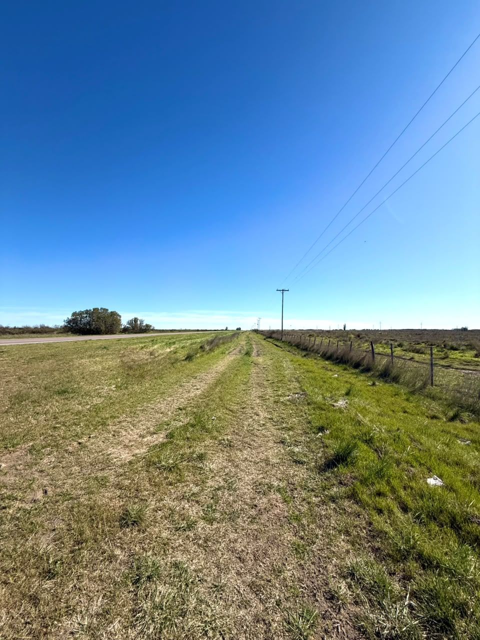 Campo  en Venta   Juan A. Pradere - Bahía Blanca Propiedades | SITIO OFICIAL l