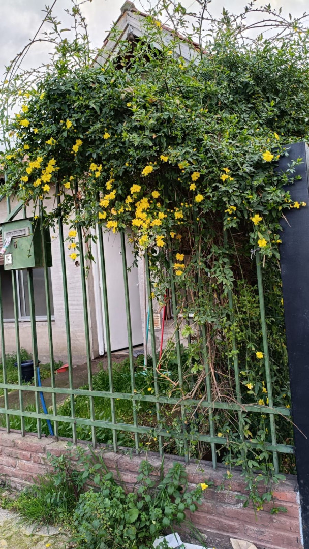 Casa en Alquiler en Rosales 600, Hospital Italiano, Bahía Blanca - Bahía Blanca Propiedades | SITIO OFICIAL l