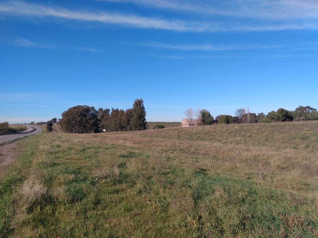 Terreno en Venta en Ruta 3 Km Norte, Pago Chico, Bahía Blanca - Bahía Blanca Propiedades | SITIO OFICIAL l