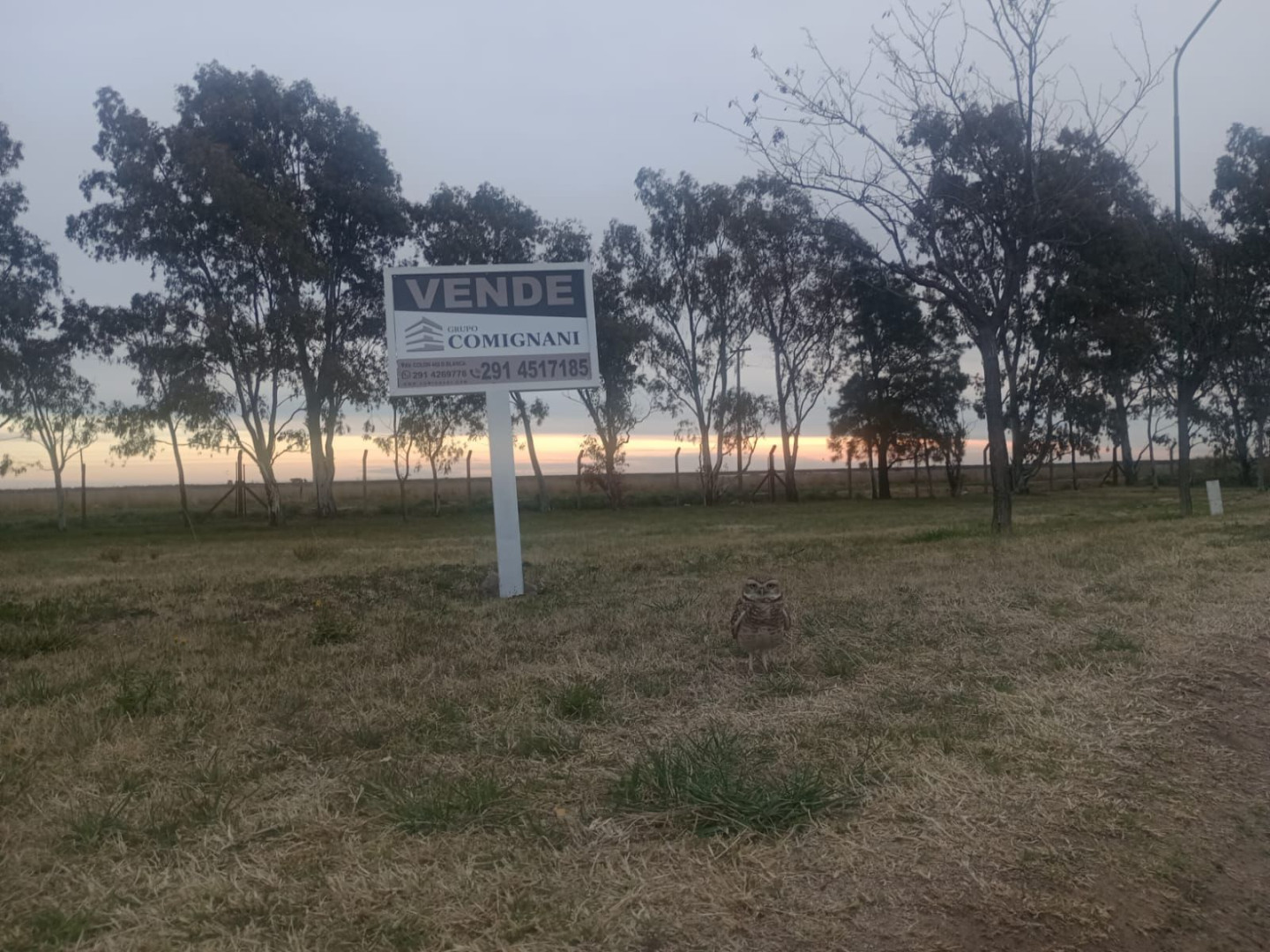 Terreno en Venta en Barrio Privado Pago Chico ,  Punta Alta - Bahía Blanca Propiedades | SITIO OFICIAL l