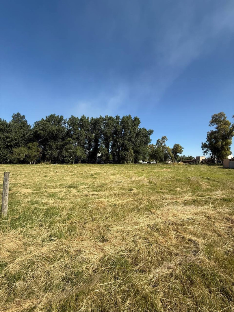Terreno en Venta en Avenida Arias 1600, Rosario Vera Peñaloza , Bahía Blanca - Bahía Blanca Propiedades | SITIO OFICIAL l