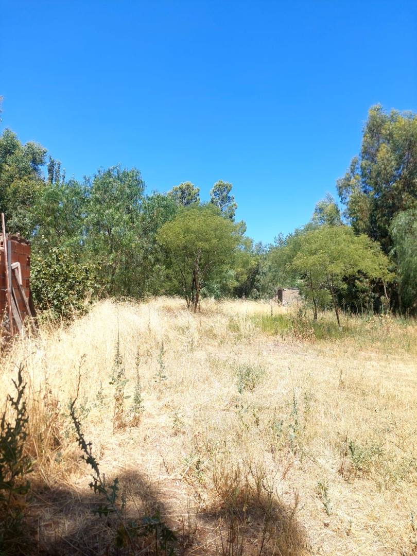 Casaquinta en Venta en Casilda Igarzabal 100, Los Chañares, Bahía Blanca - Bahía Blanca Propiedades | SITIO OFICIAL l