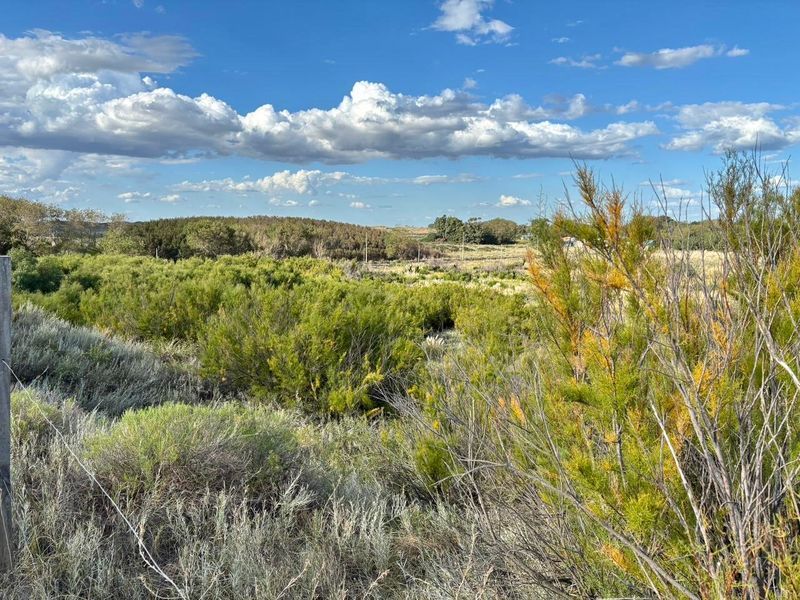 Terreno en Venta en Costanera Y Punta Indio, El Sauce, Monte Hermoso - Bahía Blanca Propiedades | SITIO OFICIAL l