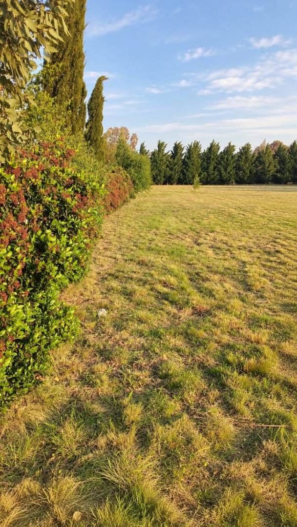 Terreno en Venta   San Andres de las Sierras - Bahía Blanca Propiedades | SITIO OFICIAL l
