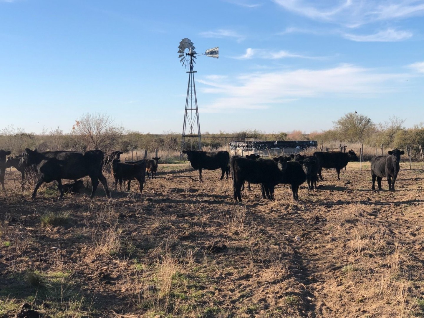 Campo  en Venta en Pradere,  Carmen de Patagones - Bahía Blanca Propiedades | SITIO OFICIAL l