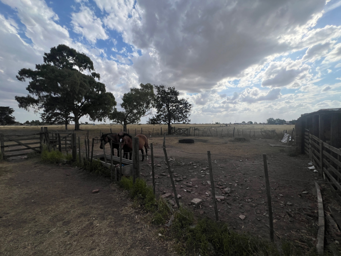 Casaquinta en Venta en Adolfo Kugler 1000,  Tornquist - Bahía Blanca Propiedades | SITIO OFICIAL l