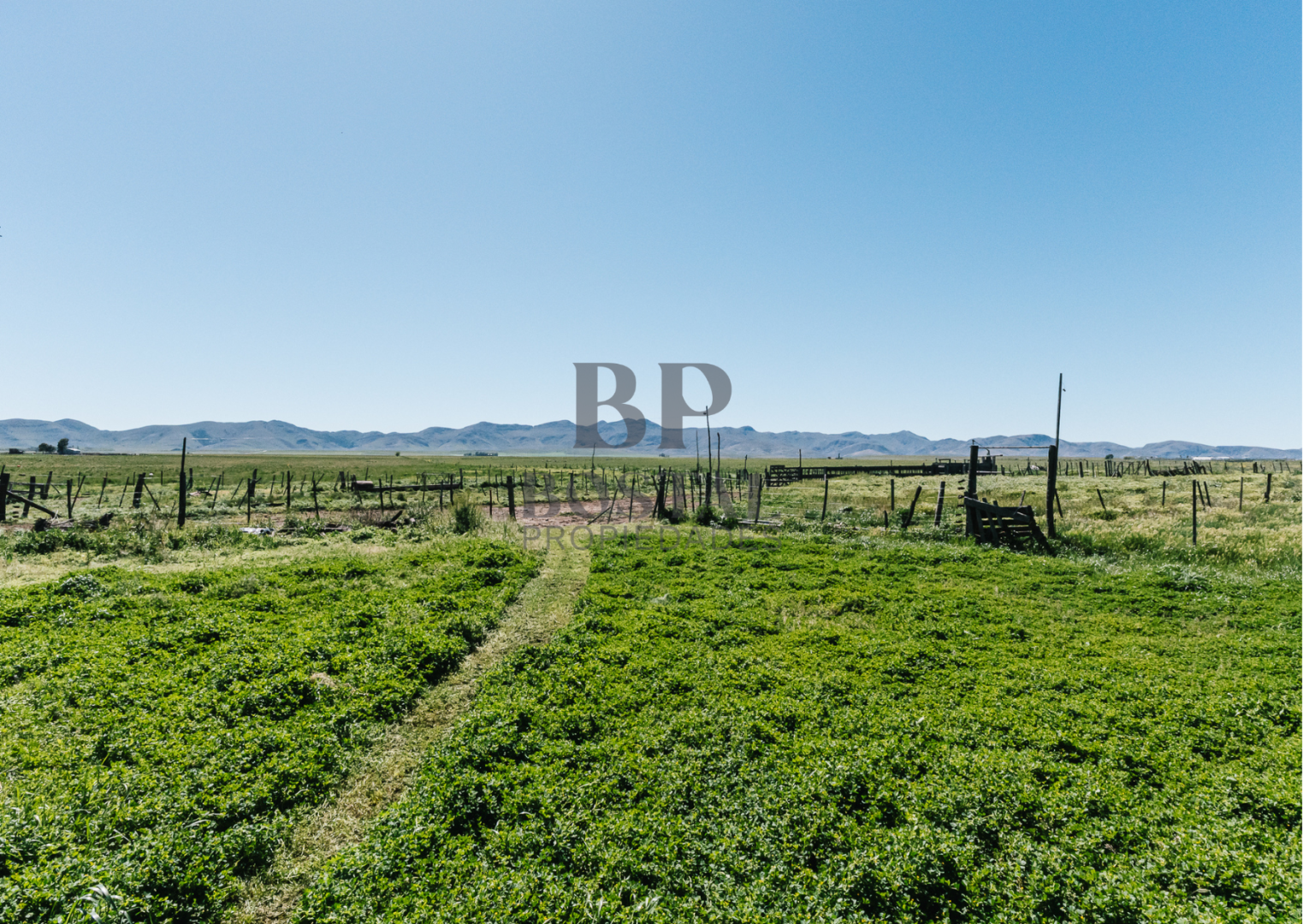Campo  en Venta en MALVINAS Y TIERRA DEL FUEGO, SAAVEDRA,  Saavedra - Bahía Blanca Propiedades | SITIO OFICIAL l