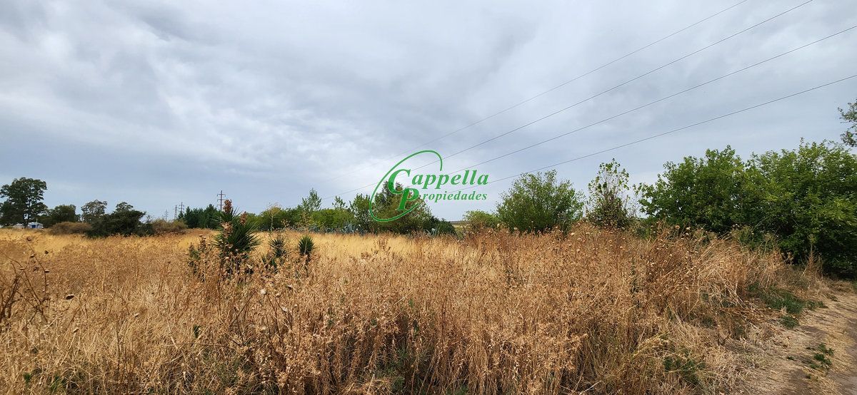 Terreno en Venta   Punta Alta - Bahía Blanca Propiedades | SITIO OFICIAL l