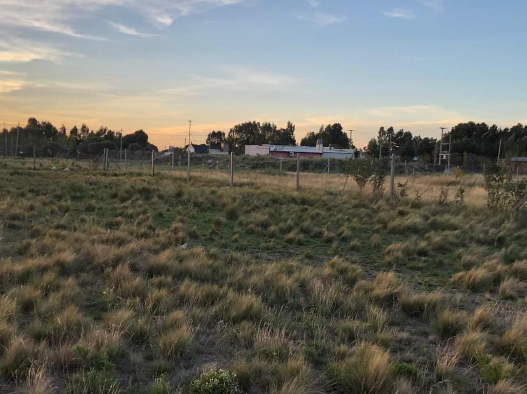 Terreno en Venta en Cambaceres 4060,  Bahía Blanca - Bahía Blanca Propiedades | SITIO OFICIAL l