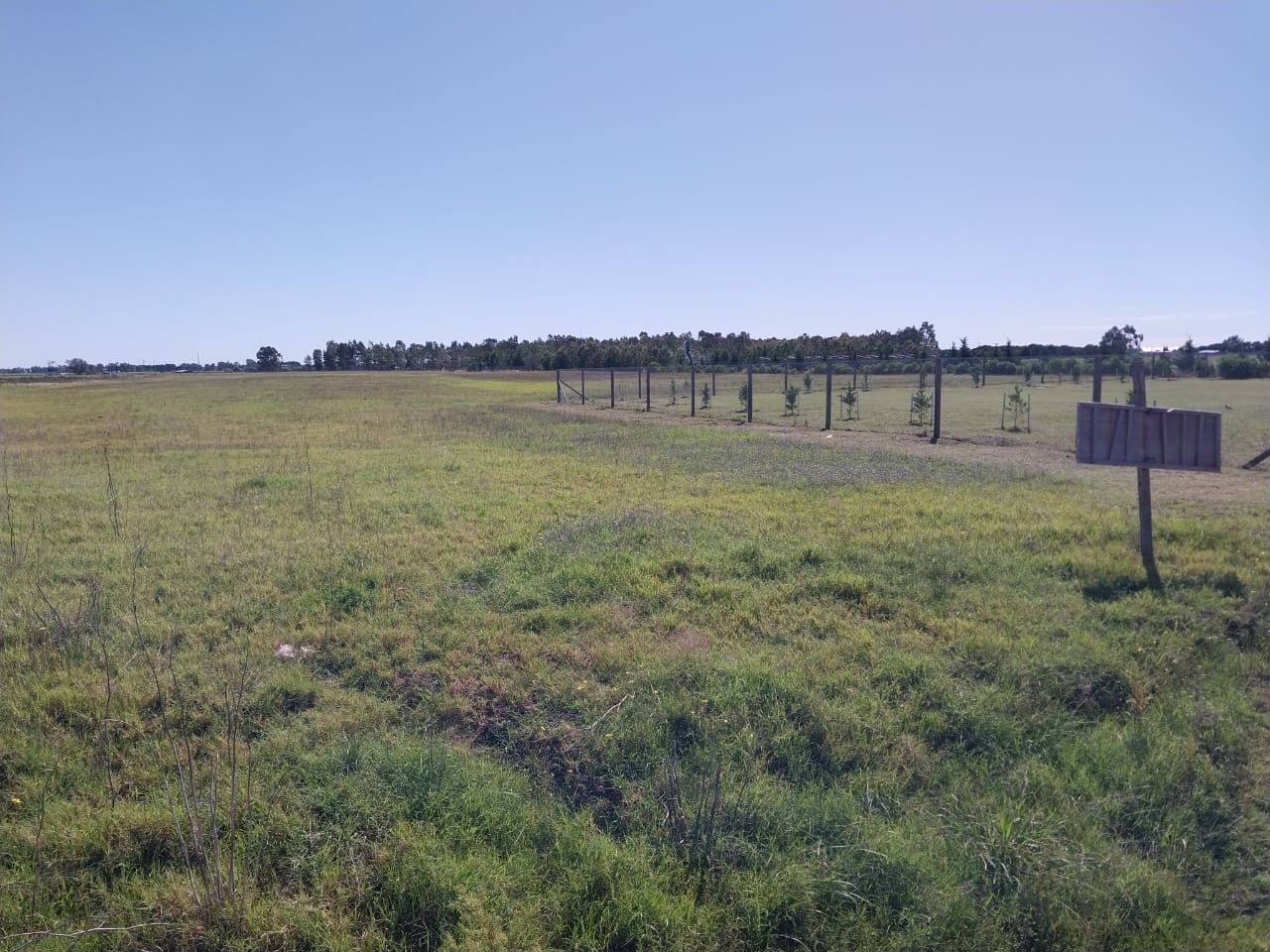 Terreno en Venta   Coronel Dorrego - Bahía Blanca Propiedades | SITIO OFICIAL l