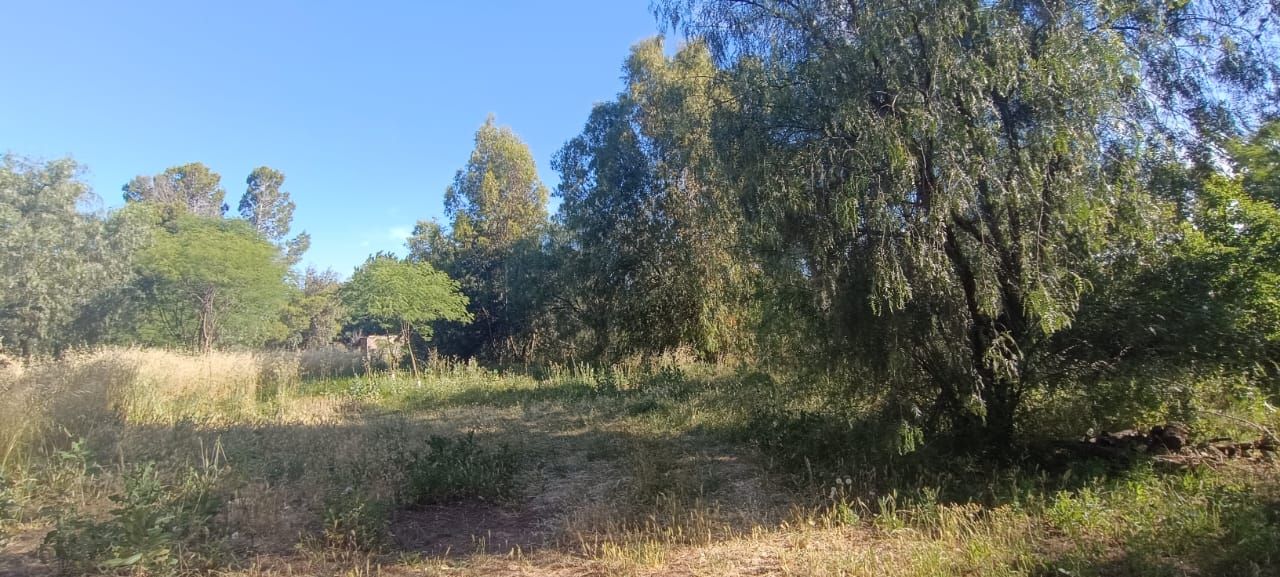 Casaquinta en Venta en Casilda Igarzabal 100, Los Chañares, Bahía Blanca - Bahía Blanca Propiedades | SITIO OFICIAL l