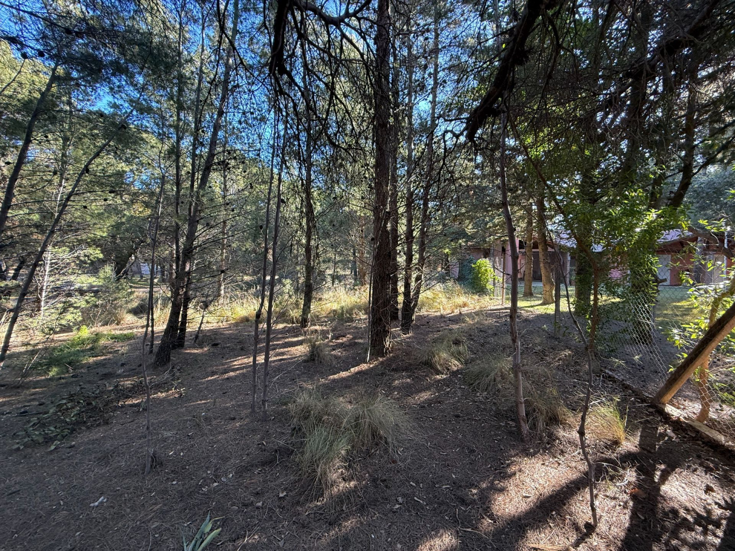 Terreno en Venta en Calle 8  Y Calle 1,  Pehuen Co - Bahía Blanca Propiedades | SITIO OFICIAL l