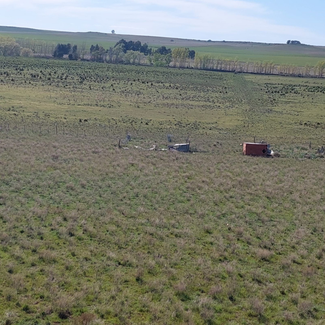 Campo  en Alquiler en Ruta 35, Km 44,  Tornquist - Bahía Blanca Propiedades | SITIO OFICIAL l