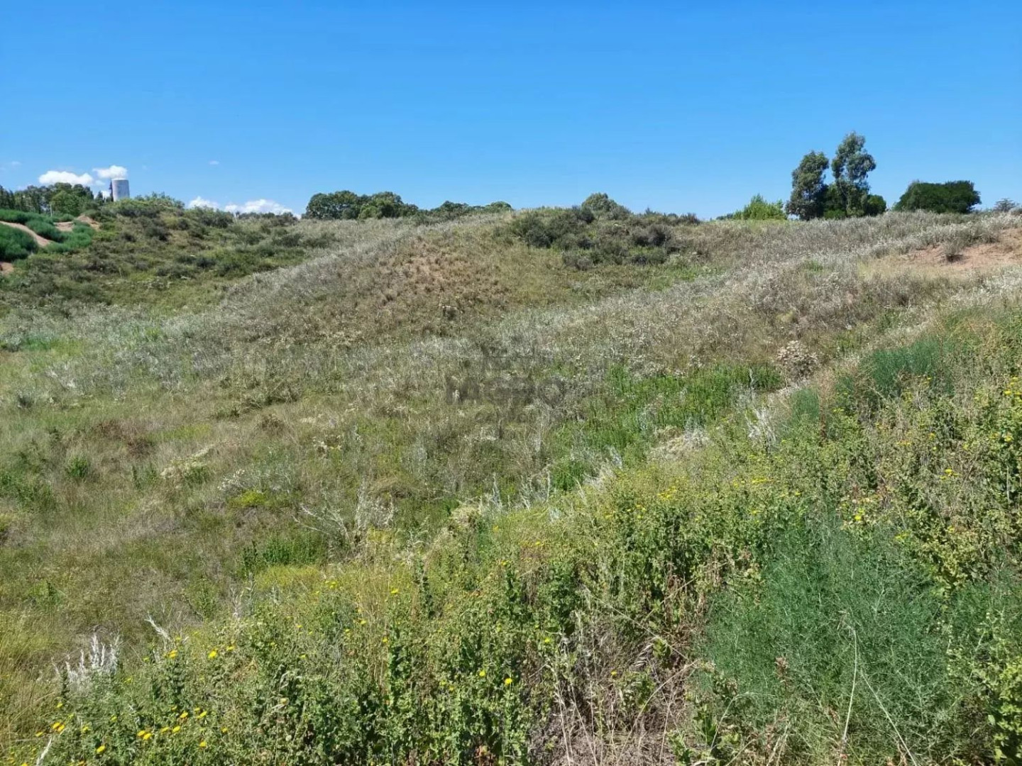 Terreno en Venta en Los Chingolos,  Pehuen Co - Bahía Blanca Propiedades | SITIO OFICIAL l