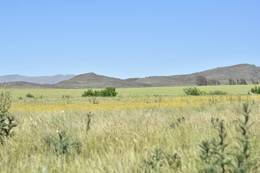 Terreno en Venta en KM 72 , Las Verbenas , Sierra de  la Ventana - Bahía Blanca Propiedades | SITIO OFICIAL l
