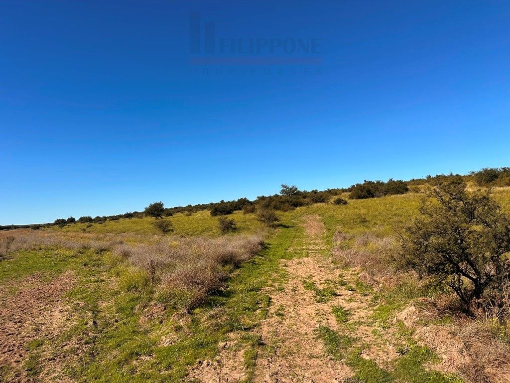 Campo  en Venta en Ruta 35 - Bahía Blanca Propiedades | SITIO OFICIAL l