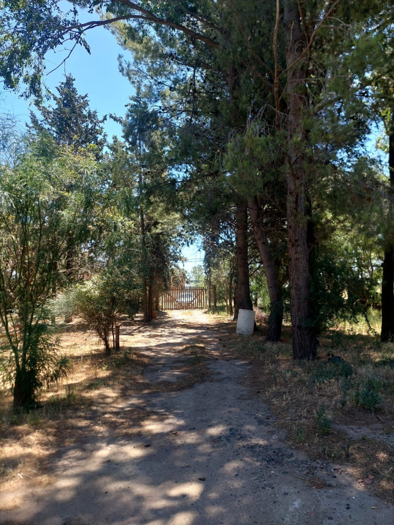 Casaquinta en Venta en Casilda Igarzabal 100, Los Chañares, Bahía Blanca - Bahía Blanca Propiedades | SITIO OFICIAL l