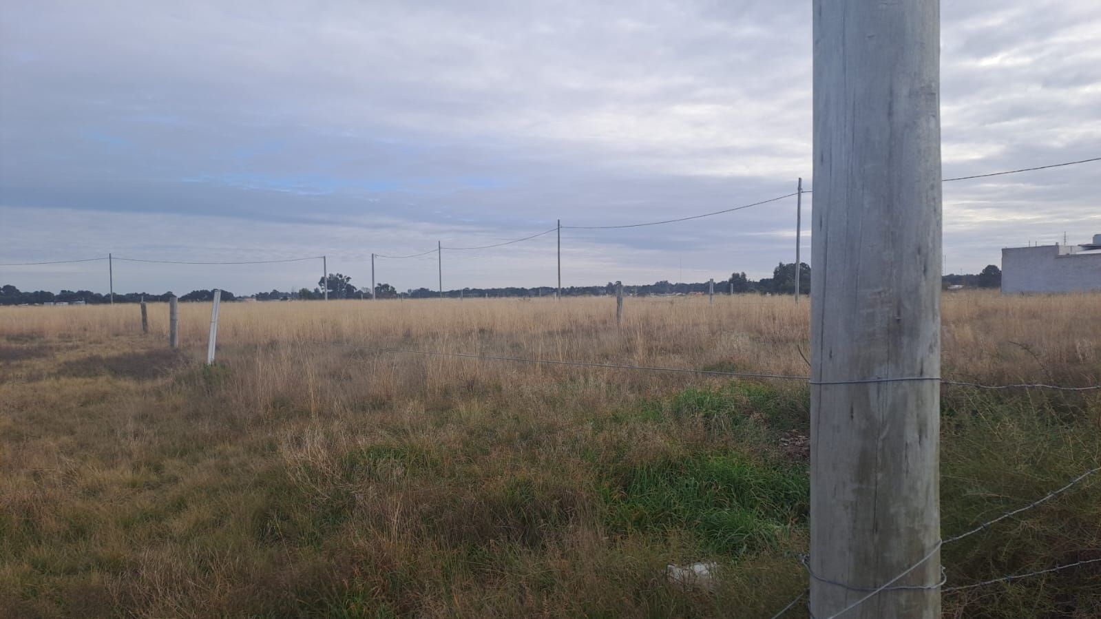 Terreno en Venta en FELIPE VARELA 960, Cenci, Bahía Blanca - Bahía Blanca Propiedades | SITIO OFICIAL l