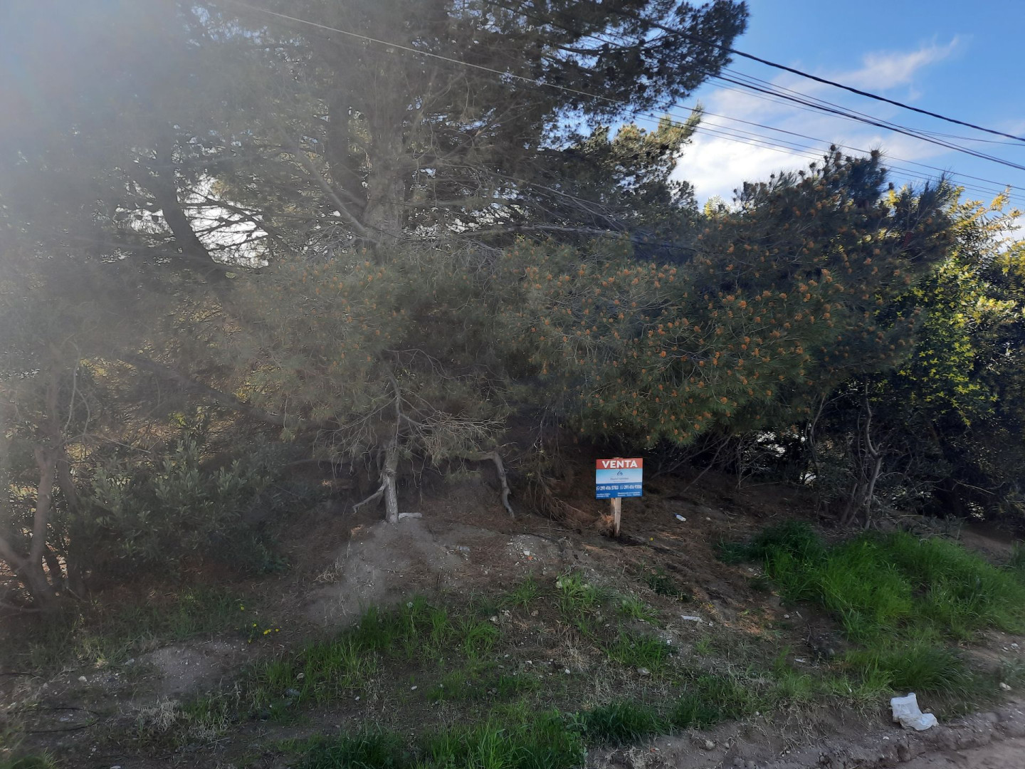 Terreno en Venta en Zuchiatti 860, Dufaur, Monte Hermoso - Bahía Blanca Propiedades | SITIO OFICIAL l