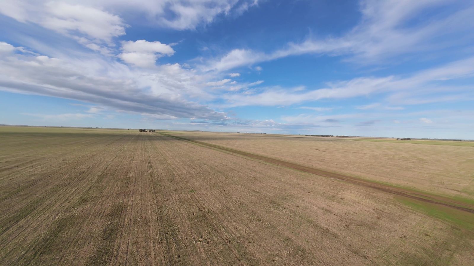 Campo  en Venta   San Romàn - Bahía Blanca Propiedades | SITIO OFICIAL l