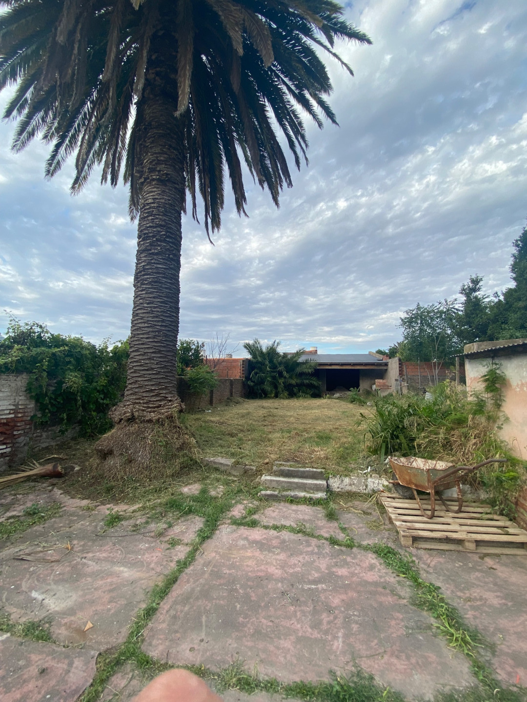 Casa en Venta en Nueva Provincia 250, San Martin, Bahía Blanca - Bahía Blanca Propiedades | SITIO OFICIAL l